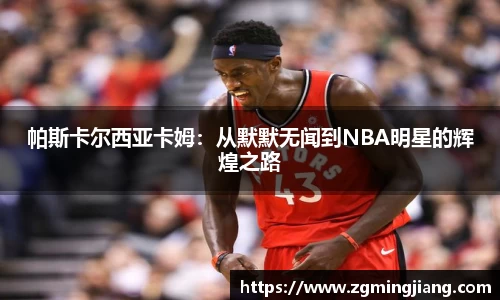 emc易倍.emc易倍官网