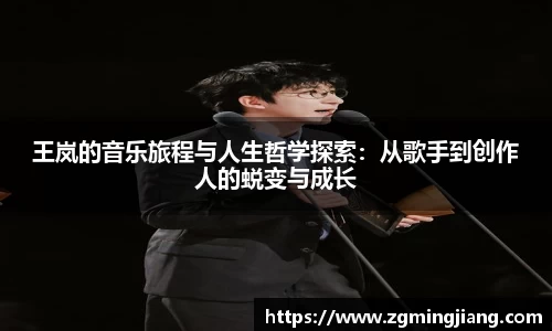 王岚的音乐旅程与人生哲学探索：从歌手到创作人的蜕变与成长